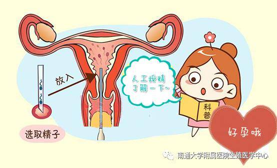 泰国试管婴儿