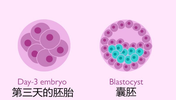 洛阳