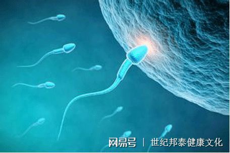 济南代怀孕捐卵有哪些