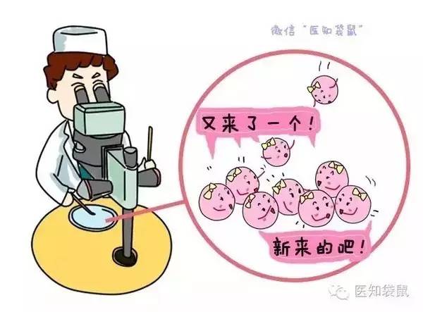 泰国试管婴儿