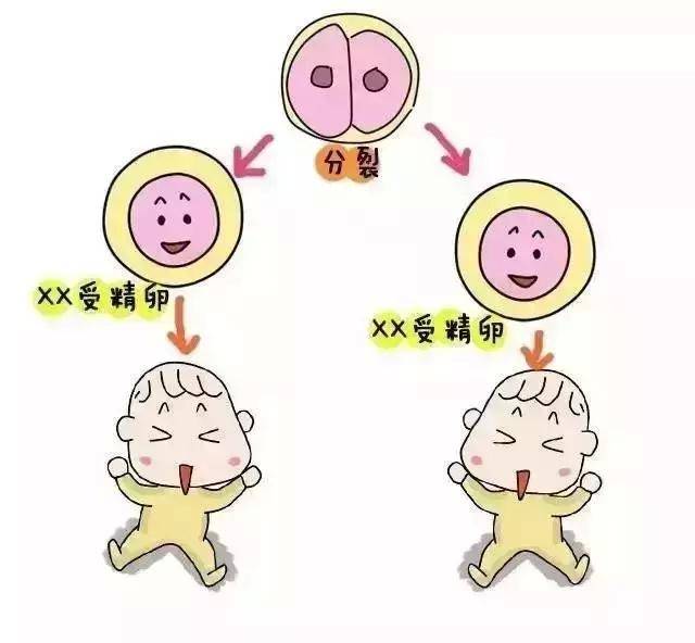 怀孕测试