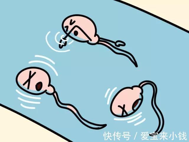 泸水捐卵试管生男孩