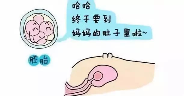 泰国高龄试管婴儿