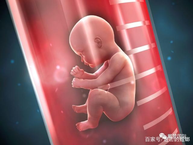 泰国试管婴儿