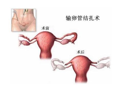 洛阳