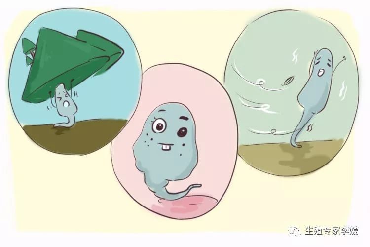 泰州捐卵公司